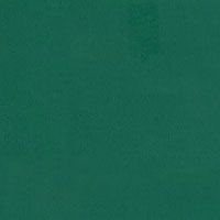 Лінолеум Tarkett Omnisports Speed 3.45 mm Forest Green
