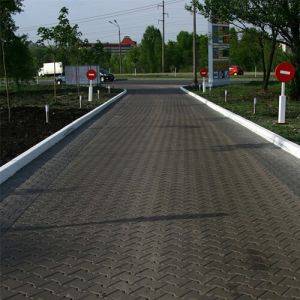 Тротуарна плитка Подвійне Т Сіра 100мм Золотий Мандарин